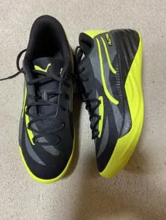 Item thumbnail for item 4752cf16-016b-4cf7-b120-367e836d2e54