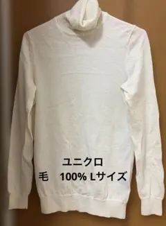 Item thumbnail for item 5b51d619-cc8c-4c44-a8da-1866424c3a20