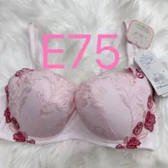 トリンプ レッドレーベル バイ 0099 ブラジャー ピンク E75