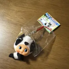 アドベンチャーワールド限定 パンダキューピー マスコット
