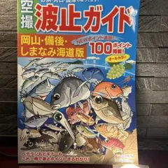 2026年最新】空撮 岡山の釣りの人気アイテム - メルカリ