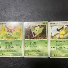 ポケモンカード マダツボミ ウツドン ウツボット 進化ライン