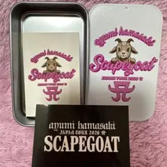 浜崎あゆみ ミニ缶ケース ステッカー - メルカリ