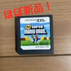 任天堂DSのスーパーマリオブラザーズ