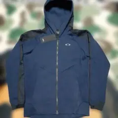 Item thumbnail for item 0ec64bef-374d-4a93-bbf9-865ae7cfb1af