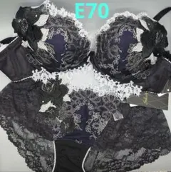 ワコール サルートE70 セット 84G