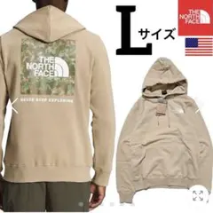【希少】ザ ノースフェイス BOX NSE スウェットフーディパーカー XL迷彩