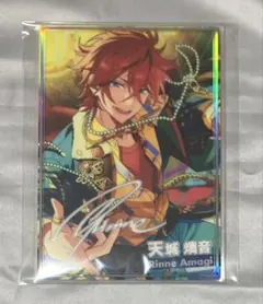 2025年最新】虹色開花ポートレート 燐音の人気アイテム - メルカリ