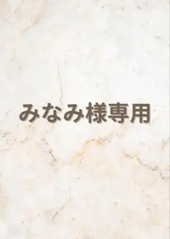 みなみ様専用