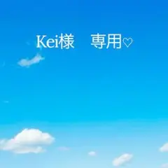 kei 様　専用です