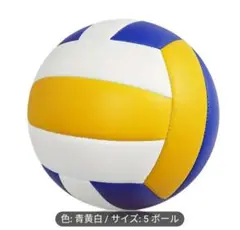 バレーボール☆一般
