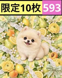 限定10枚！　レアパネル生地　無くなり次第終了です　6犬種パネル