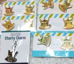 未開封会場限定嵐ピンバッジセット