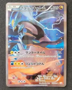 2026年最新】ブラックキュレム cp2の人気アイテム - メルカリ