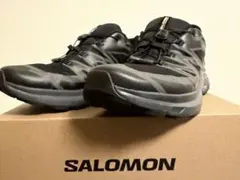 SALOMON XT-EVR GTX M 27.5cm 美品 防水のサムネイル