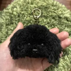 ＊うるうるトイプードル　毛糸キーホルダー＊ぬいぐるみマスコットブラック黒色ロング
