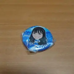 横浜DeNAベイスターズ ディアーナ 缶バッジ Arisaさん ガチャガチャ