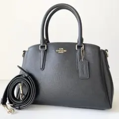 売約済　COACH シグネチャースモールマーゴットキャリーオール ハンドバッグ 2025年最新】コーチ マーゴットの人気アイテム - メルカリ