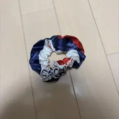 横浜ビー・コルセアーズ シュシュ