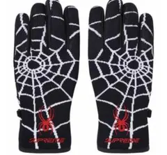 2026年最新】supreme spyder gloveの人気アイテム - メルカリ
