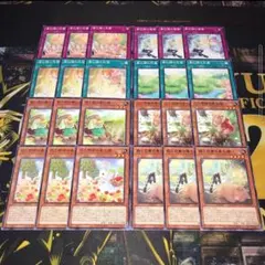 18635 遊戯王 春化精 デッキパーツ 森と目覚めの春化精 他
