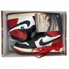 NIKE JORDAN 1 ナイキ ジョーダン つま黒 DZ5485-106