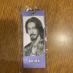 AKIRA めじるしタグ　EXILE REASON 会場ガチャ カプセル