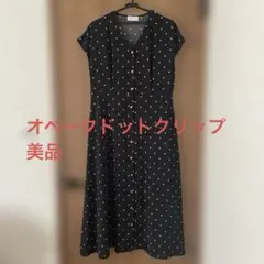 オペークドットクリップ　ドットワンピース　ロングワンピース　前開き　Vネック　L