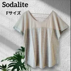 ⭐匿名配送⭐Tシャツ半袖通気性メッシュ グレー【Sodalite】ゆったりF