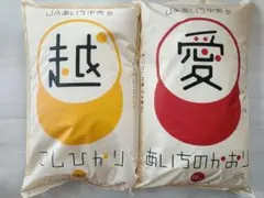 リピート割引令和7年愛知県産 あいちのかおり【精米20kg】送料込 お米