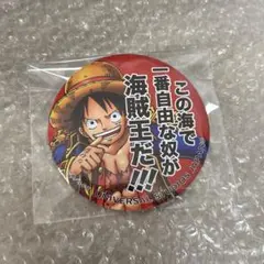 東京ワンピースタワー限定 バースデー缶バッジ ルフィ - メルカリ