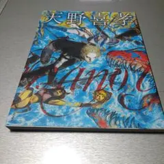 天野喜孝