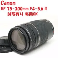 Canon EF 75-300mm F4-5.6 II 試写有り キャップ付きのサムネイル