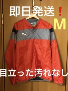 Item thumbnail for item 05fa15fe-70fe-4816-b4c7-5e7587fd56a6