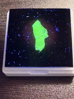 ハイアライトオパール　玉滴石　原石　蛍光鉱物　標本　H3