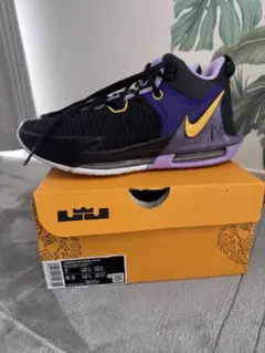 〖最終値下げ〗Nike Lebron Witness VII EP 8.5