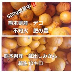 熊本県産 　デコ不知火　肥の豊と蔵出しみかんセット箱込10.5キロ