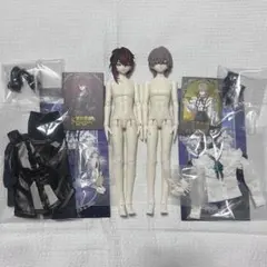 RAH 空条承太郎 ジャンク 両肩破損 修理・部品取り - メルカリ