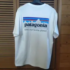patagonia パタゴニア Tシャツ