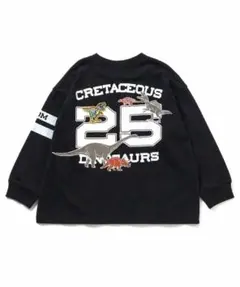 BREEZE 福井県立恐竜博物館コラボ ナンバー ロンT