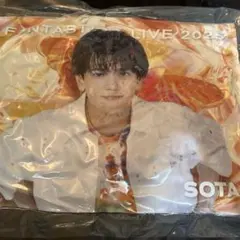 中島颯太　クッション　レア　BUTTERFLY　会場限定　実写　ファンタ　橙