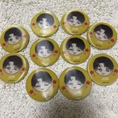 PetiTEEN SEVENTEEN まじかる百貨店 缶バッジ JUN 11点