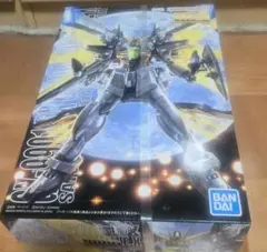 【新品未開封】1/100 MG ガンダムダブルエックス