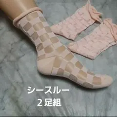 ２足組♪シースルーソックス(23～25)