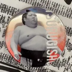 剣翔　関取全員集合缶バッジ　大相撲ガチャ　大相撲カードおまけ付き