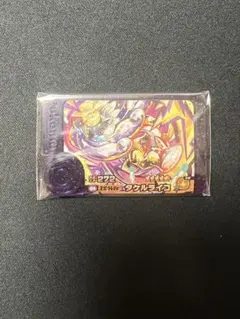 ポケモンフレンダ　タケルライコ　スーパートレジャー