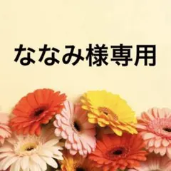 ななみ様 リクエスト 2点 まとめ商品
