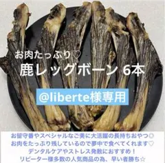 @liberte様専用