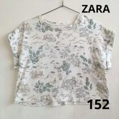 期間限定値下げ　ZARA キッズ 半袖Tシャツ 152cm 風景柄　こどものサムネイル