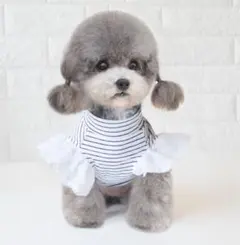 Item thumbnail for item cf4f2667-164a-495d-b5d5-a1fe4c8fcf94